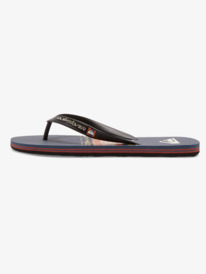 Molokai Art Gregg Kaplan - Flip-Flops for Men  AQYL101264