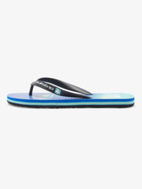Molokai Art Gregg Kaplan - Flip-Flops for Men  AQYL101264