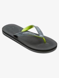 HALEIWA CORE  AQYL101326