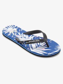 Molokai Art - Beach Flip-Flops for Men  AQYL101360