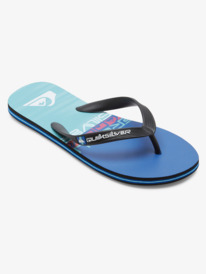 Molokai Stripe - Beach Flip-Flops for Men  AQYL101361