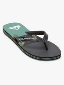 Molokai Stripe - Beach Flip-Flops for Men  AQYL101361