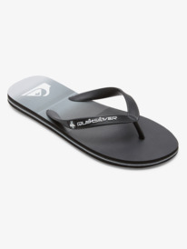 Molokai Stripe - Beach Flip-Flops for Men  AQYL101361