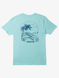 Men's T-Shirts - Shop the Collection Online | Quiksilver