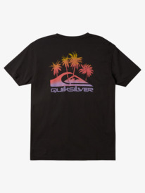 quiksilver, Pastime Paradise T-Shirt, BLACK (kvj0) PASTIME PARADISE MTZ AQYZT09129
