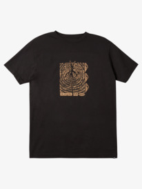 quiksilver, Palm Waves T-Shirt, BLACK (kvj0) PALM WAVES MTZ AQYZT09131