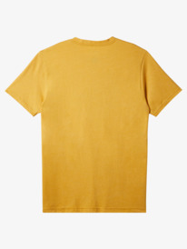 Men's T-Shirts - Shop the Collection Online | Quiksilver