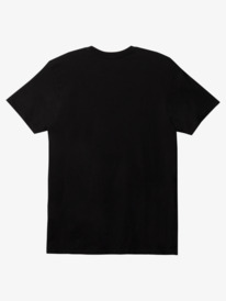 quiksilver, Everyday T-Shirt, BLACK (kvj0) EVERYDAY TEE AQYZT09357