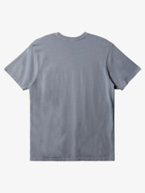 quiksilver, Everyday T-Shirt, SLEET (szp0) EVERYDAY TEE AQYZT09357