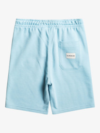 Boys Shorts - Shop Kids Collection Online | Quiksilver