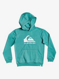 Big Logo - Hoodie  EQBFT03593