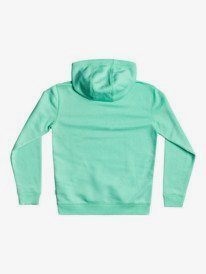 Big Logo - Hoodie for Boys 8-16  EQBFT03671