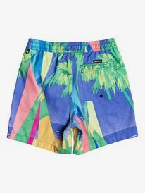 No Destination 14" - Swim Shorts  EQBJV03259