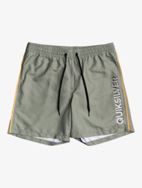Vert 14" - Swim Shorts for Boys 8-16  EQBJV03334