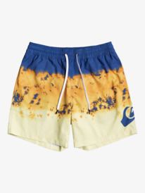 Thunderhead 15" - Swim Shorts for Boys 8-16  EQBJV03339