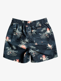 quiksilver, Детские плавательные шорты Everyday Scenic 14" 8-16, BLACK (kvj6) Everyday Scenic 14" - Swim Shorts for Boys 8-16 EQBJV03393