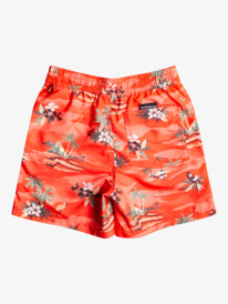 quiksilver, Детские плавательные шорты Everyday Scenic 14" 8-16, PEACH PINK (mgk6) Everyday Scenic 14" - Swim Shorts for Boys 8-16 EQBJV03393