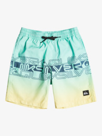 quiksilver, Everyday Wordblock 16" - Bermuda da bagno da Ragazzo 8-16, BEACH GLASS (gcz6) Everyday Wordblock 16" - Swim Shorts for Boys 8-16 EQBJV03434