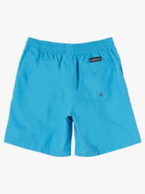 quiksilver, Boy's 8-16 Everyday 15"Volleys, BLITHE (bmm0) Everyday 15" - Swim Shorts for Boys 8-16 EQBJV03436