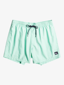 quiksilver, Boy's 8-16 Everyday 15"Volleys, BEACH GLASS (gcz0) Everyday 15" - Swim Shorts for Boys 8-16 EQBJV03436