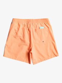 quiksilver, Everyday Vert 14" - Schwimmshorts für Jungen 8-16, FRESH SALMON (mhv0) Everyday Vert 14" - Swim Shorts for Boys 8-16 EQBJV03437