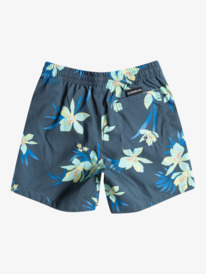 quiksilver, Everyday Mix 14" - Zwembroek voor Jongens 8-16, MIDNIGHT NAVY (bsl6) Everyday Mix 14" - Swim Shorts for Boys 8-16 EQBJV03440