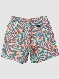 quiksilver, Boy's 8-16 Radical Arch Volley 14" Volleys, PASTEL TURQUOISE (bfq8) RADICAL ARCH VOLLEY YOUTH 14NB EQBJV03473