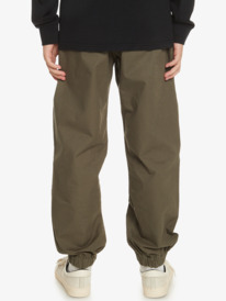 quiksilver, Taxer Beach Cruiser Short pour Garçon 8-16 ans, THYME (cqy0) Taxer Beach Cruiser - Shorts for Boys 8-16 EQBNP03120