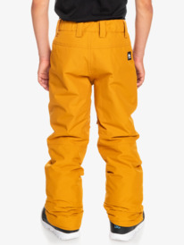 quiksilver, Boy's 8-16 Estate Snow Pants, BUCKTHORN BROWN (cnr0) Estate - Snow Pants for Boys 8-16 EQBTP03033