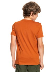 quiksilver, Primary Colours - Maglietta da Ragazzo, CINNAMON (cpe0) Primary Colours - T-Shirt for Boys EQBZT04368