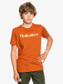 quiksilver, Primary Colours - Maglietta da Ragazzo, CINNAMON (cpe0) Primary Colours - T-Shirt for Boys EQBZT04368