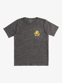 New World - Short Sleeve T-Shirt for Boys 8-16  EQBZT04438