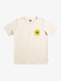 quiksilver, Planet Positive - T-Shirt voor Jongens 8-16, BIRCH HEATHER (wdwh) Planet Positive - T-Shirt for Boys 8-16 EQBZT04609