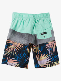 quiksilver, Boy's 2-7 Everyday Panel 14" Boardshorts, BEACH GLASS (gcz6) EVERYDAY PANEL BOY 14 EQKBS03397