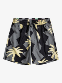 quiksilver, Boys 2-7 Next Generation 12" Swim Shorts, IRON GATE (kzm9) Next Generation 12" - Swim Shorts for Boys 2-7 EQKJV03188
