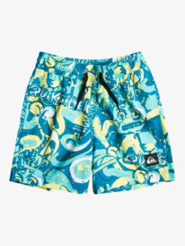 Boys Board Shorts - Our Latest Boardshorts for Kids | Quiksilver