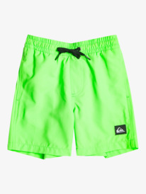 quiksilver, Everyday 13" Short de bain pour Garçon 2-7, GREEN GECKO (ggy0) Everyday 13" - Swim Shorts for Boys 2-7 EQKJV03232