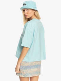 quiksilver, Womens Boyfriend Crop Short Sleeve T-Shirt, POOL (bfv0) Boyfriend Crop - Short Sleeve T-Shirt for Women EQWZT03122
