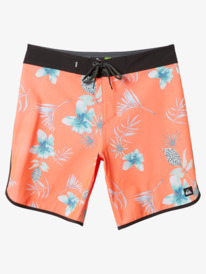 Surfsilk Scallop 19" - Board Shorts for Men  EQYBS04771