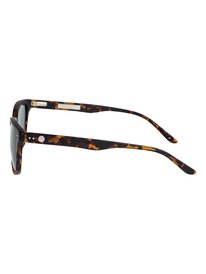 Brixton - Sunglasses for Men