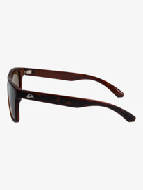Ferris - Sunglasses for Men  EQYEY03198