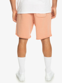 quiksilver, Trip Away - Sweat Shorts for Men, CAFE CREME (tjb0) Trip Away - Sweat Shorts for Men EQYFB03315