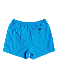 Men's Swim Shorts - Shop the Collection Online | Quiksilver