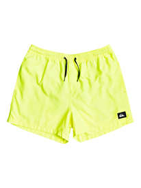 Men's Swim Shorts & Volleys - Shop Online | Quiksilver