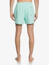 quiksilver, Everyday 15" - Swim Shorts for Men, BEACH GLASS (gcz0) Everyday 15" - Swim Shorts for Men EQYJV03531
