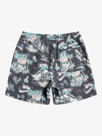 quiksilver, Hotel Paradiso 17" Volleys, HOTEL PARADISO - BLACK (kvj9) Hotel Paradiso 17" - Swim Shorts for Men EQYJV03826