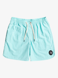 Men's Swim Shorts - Shop the Collection Online | Quiksilver