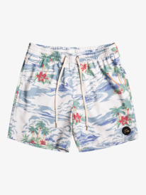 Cloud 9 Pcs 17" - Swim Shorts for Men  EQYJV03971