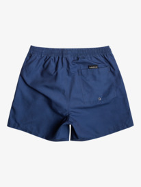 Everyday Vert 16" - Swim Shorts for Men  EQYJV03987