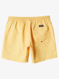 Everyday Vert 16" - Swim Shorts for Men  EQYJV03987